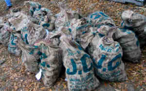 LCOysterFest-Bags