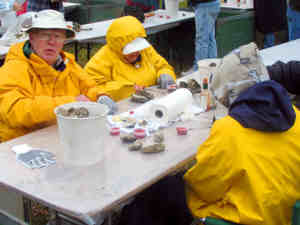 LCOysterFest-Shucking6