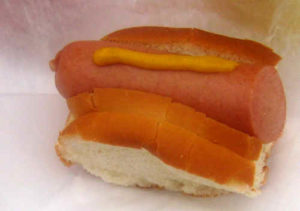 Saugy Dogs Rhode Island